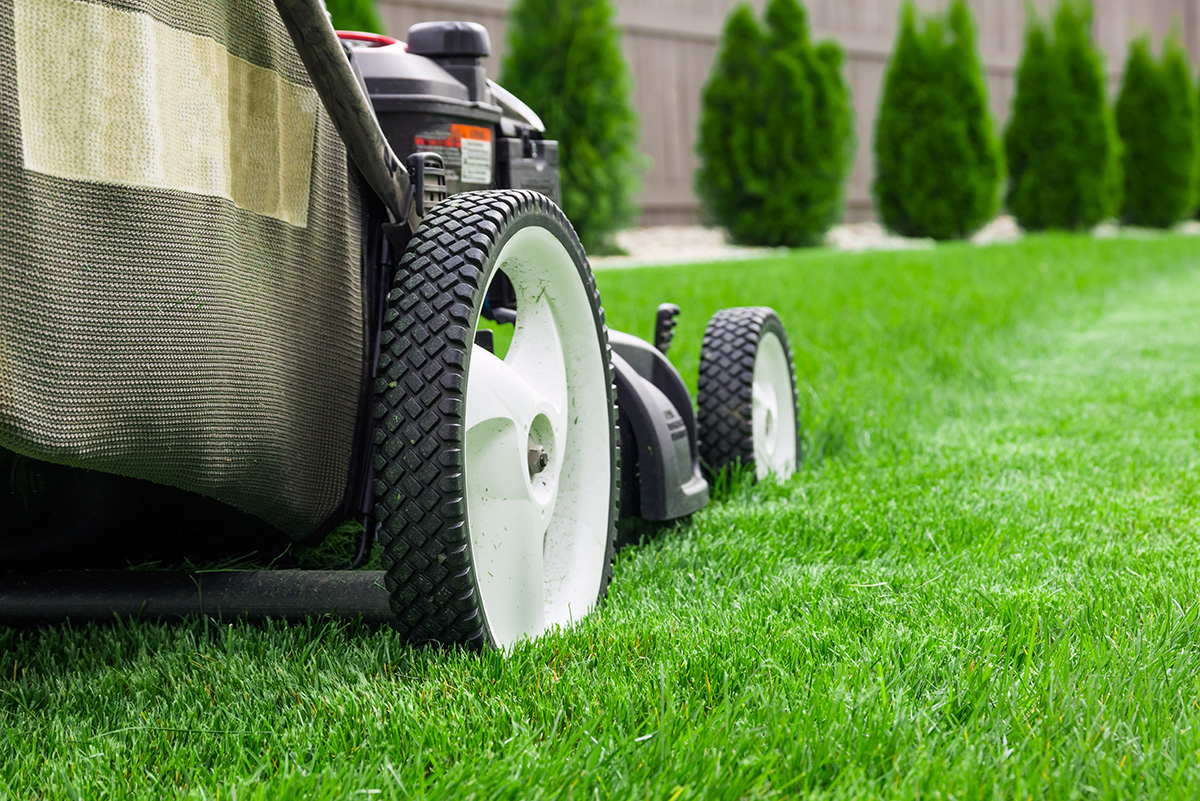rs_lawncare_img